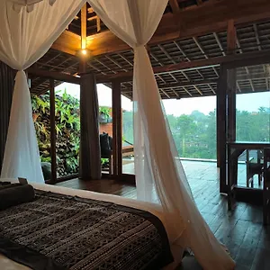 Joglo Organik Guest house